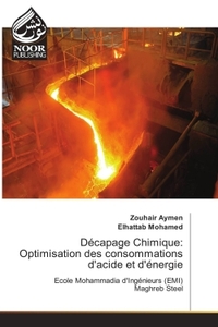 Picture of Décapage Chimique: Optimisation des consommations d'acide et d'énergie