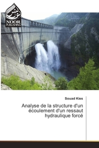 Image de Analyse de la structure d'un écoulement d'un ressaut hydraulique forcé