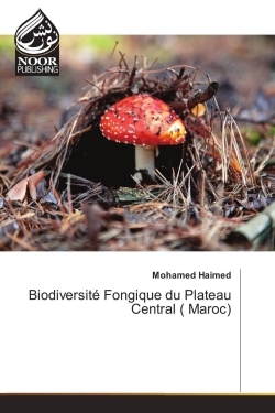 Image de Biodiversité Fongique du Plateau Central ( Maroc)