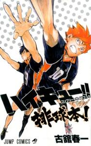 Picture of HAIKYU!! COMPLETE GUIDE BOOK (ARTBOOK VO JAPONAIS)
