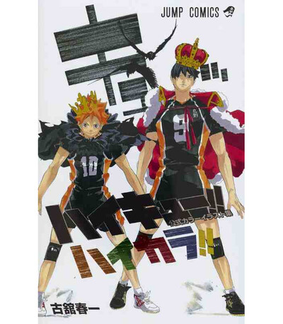 Picture of HAIKYU!! COLOR ILLUSTRATIONS (ARTBOOK VO JAPONAIS)