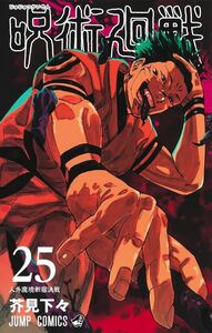 Picture of JUJUTSU KAISEN 25 (VO JAPONAIS)