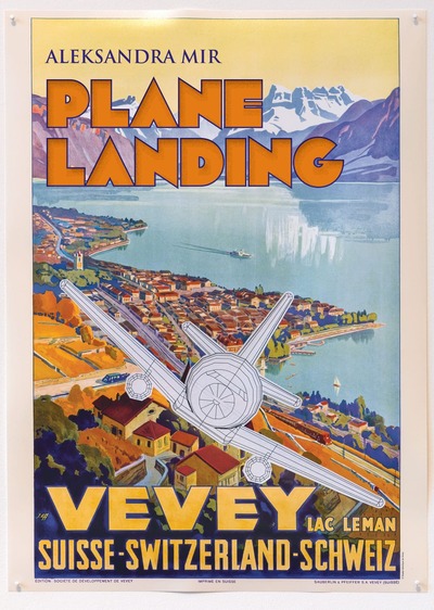 Picture of Plane Landing Vevey