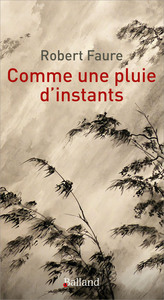 Image de Comme une pluie d'instants