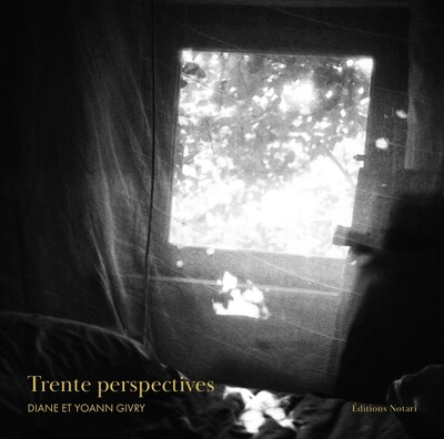 Picture of Trente perspectives