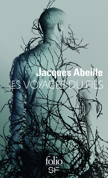 Image de Les voyages du fils