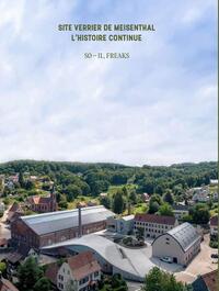 Picture of Site verrier de Meisenthal l'histoire continue