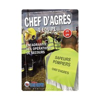 Picture of Livre "Chef d'Agrès à 1 équipe SPV SPP"
