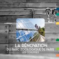 Image de La rénovation du parc zoologique de Paris