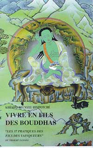 Image de Vivre en fils des Bouddhas