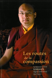 Image de Les routes de la compassion