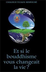 Image de Et si le bouddhisme vous changeait la vie ?