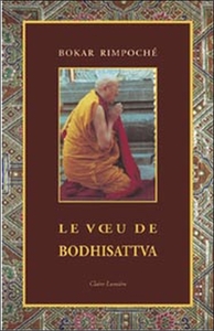Image de Le Voeu de Bodhisattva