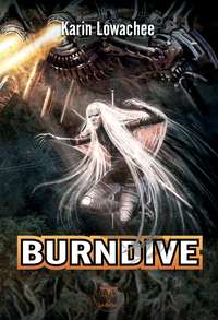 Image de Burndive