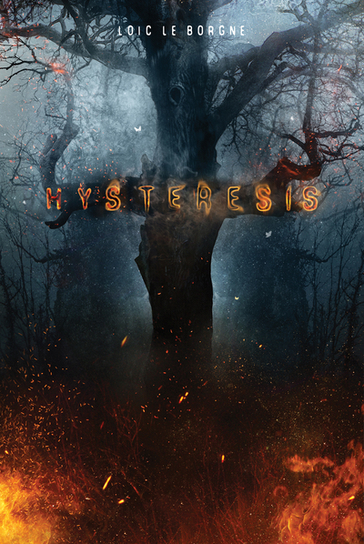 Image de Hysteresis