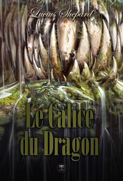 Image de Le calice du dragon