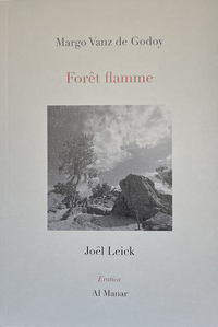 Picture of Forêt flamme