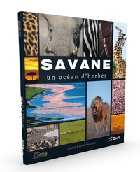 Image de SAVANE