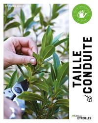 Picture of Taille et conduite