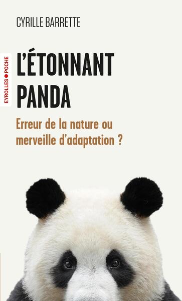 Image de L'étonnant panda