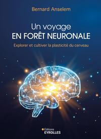 Picture of Un voyage en forêt neuronale