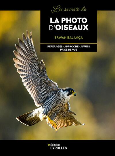 Picture of Les secrets de la photo d'oiseaux