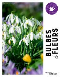 Picture of Bulbes à fleurs