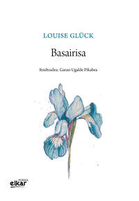 Picture of BASAIRISA