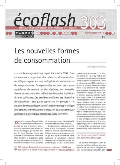 Image de ECOFLASH 303 : LES NOUVELLES FORMES DE CONSOMMATION