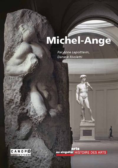 Picture of Michel-Ange