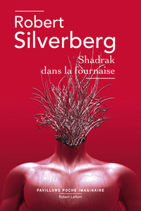 Image de Shadrak dans la fournaise