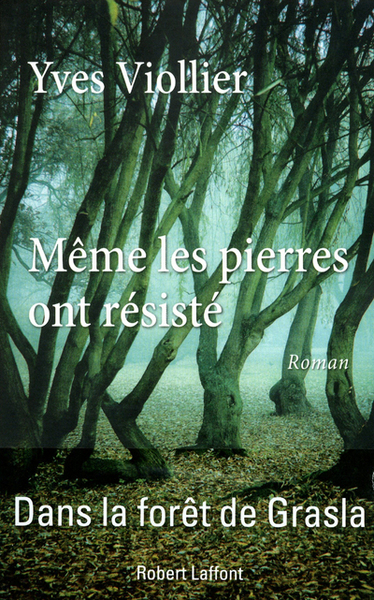Image de Même les pierres ont résisté
