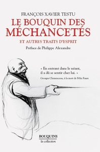Picture of Le bouquin des méchancetés et autres traits d'esprit