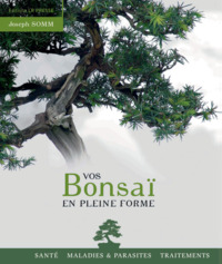 Picture of Vos bonsaï en pleine forme