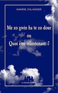 Image de Me zo gwin ha te zo dour ou quoi être maintenant ?