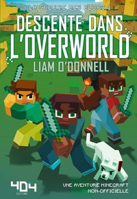 Picture of Descente dans l'overworld