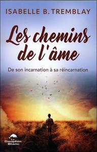 Image de Les chemins de l'âme - De son incarnation à sa réincarnation