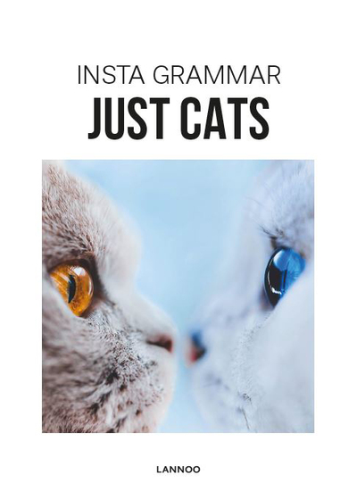 Picture of Insta Grammar - Just Cats /anglais