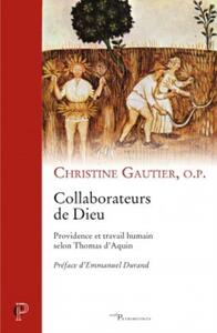 Image de COLLABORATION DE DIEU