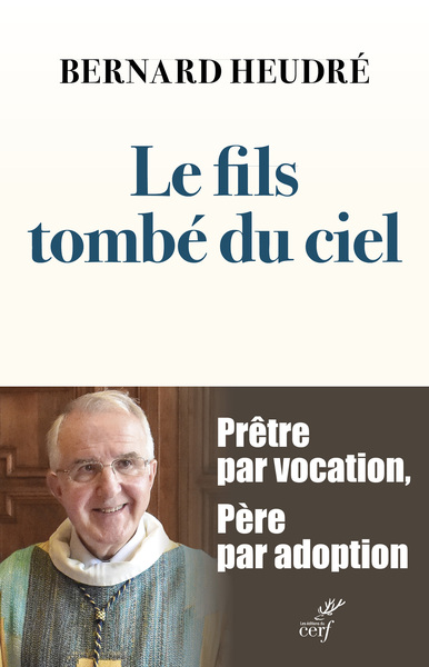 Picture of Le fils tombé du ciel
