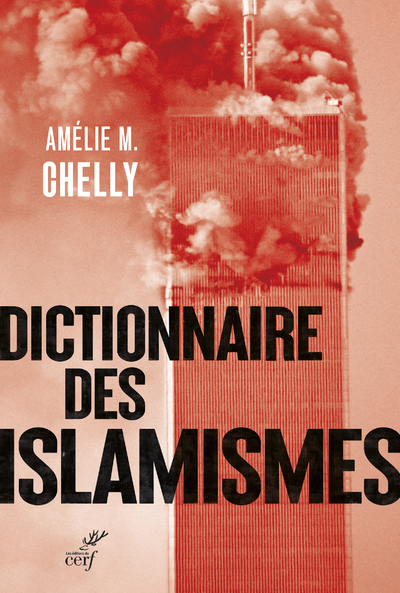 Image de Dictionnaire Des Islamismes