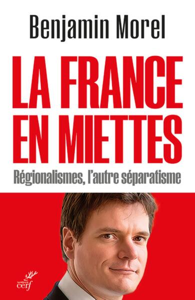Picture of LA FRANCE EN MIETTES - REGIONALISMES, L'AUTRE SEPARATISME