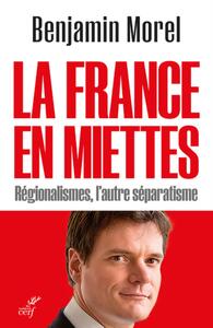 Picture of LA FRANCE EN MIETTES - REGIONALISMES, L'AUTRE SEPARATISME