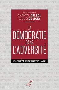 Picture of LA DEMOCRATIE DANS L'ADVERSITE
