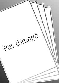 Picture of SC 657 - Commentaires sur les Évangiles