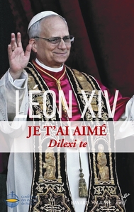 Image de Je t'ai aimé - Dilexi te