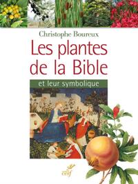 Picture of LES PLANTES DE LA BIBLE