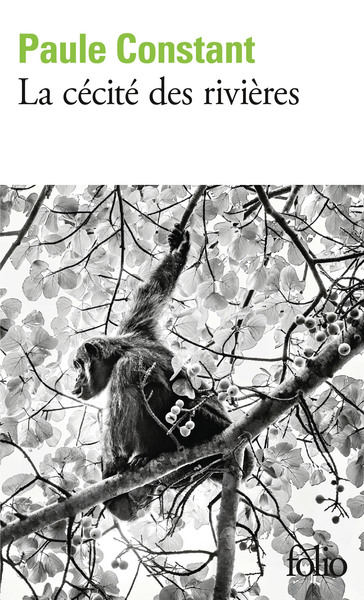 Picture of La cécité des rivières