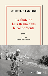Picture of La chute de Luis Ocaña dans le col de Menté