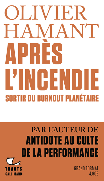Image de Après l'incendie